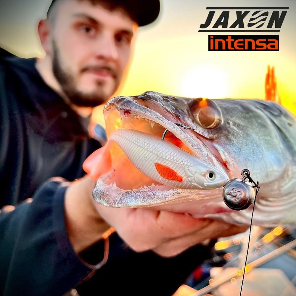 Jaxon İntensa Hegemon 9cm Silikon Balık