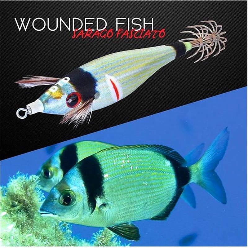 Wounded Fish Bukva 2.5 Kalamar Zokası