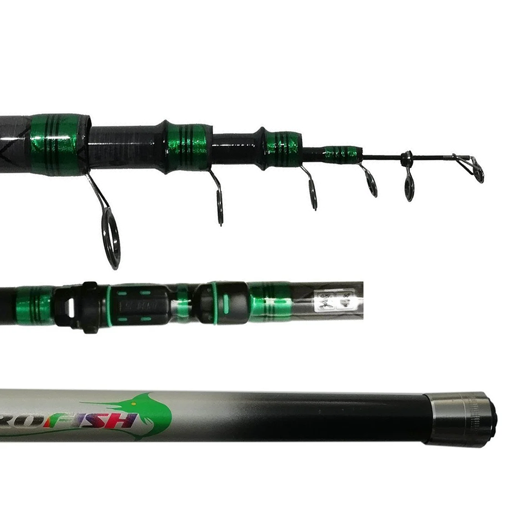 Carpine Olta Kamışı