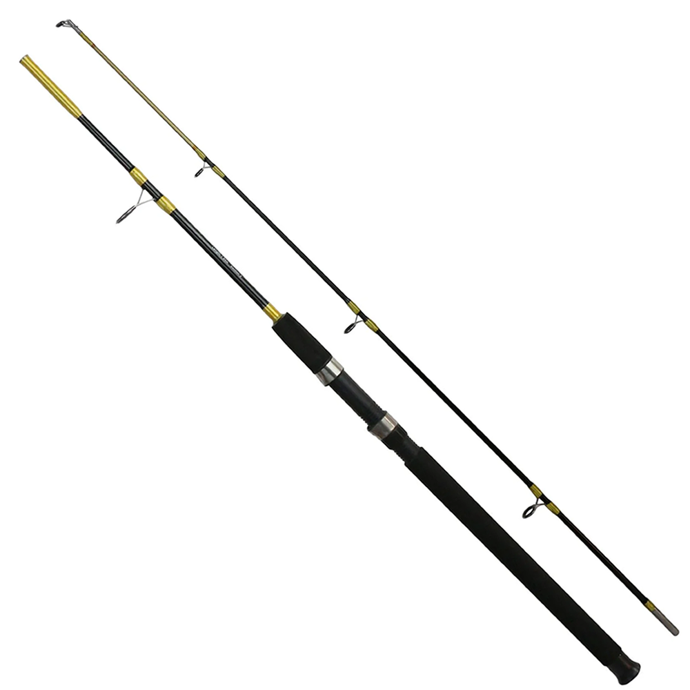 Eurofish Forsa 2 Parçalı Tekne/Bot Kamışı