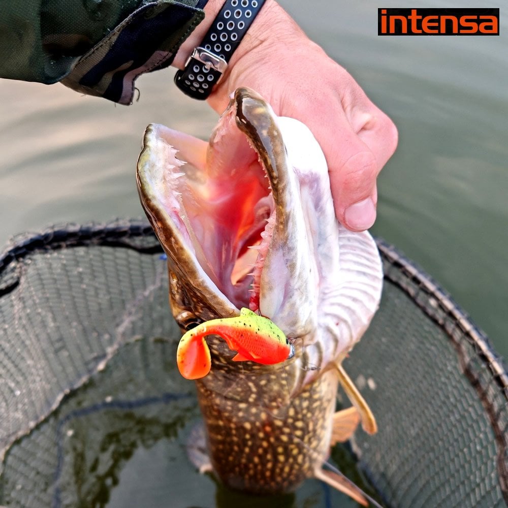 Jaxon Gummy İntensa ITA085 8.5cm Silikon Balık