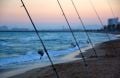 Surf Makinaları