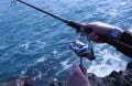Spin Kamışları