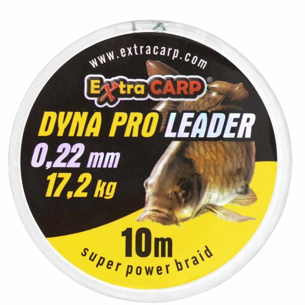Dyna Pro Sazan Misinası
